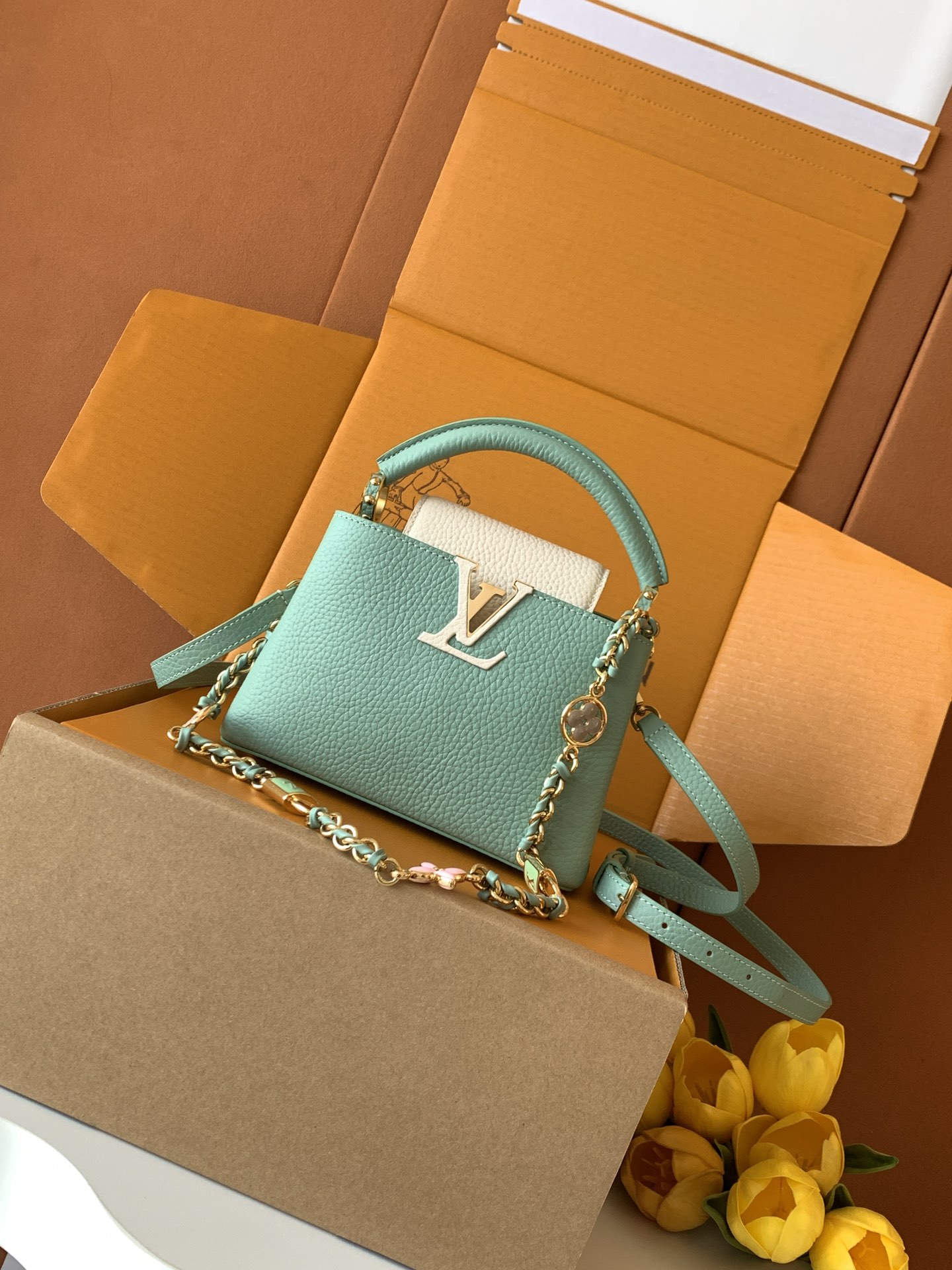 Capucines mini-M23951