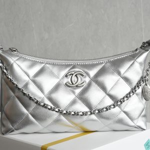 Gold Coin Chain Dumpling Bag, Silver