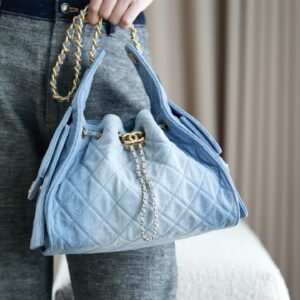 Chanel 25 Small Hobo Bag