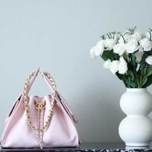 Chanel 25 Small Hobo Bag