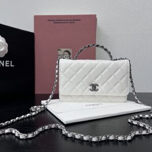 AP3645 Mini clutch bag