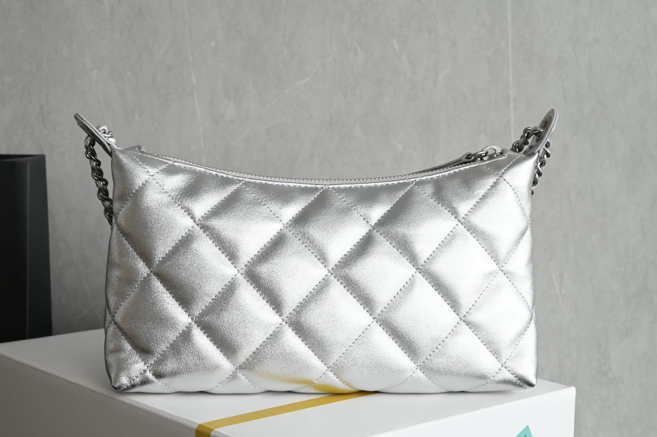 Gold Coin Chain Dumpling Bag, Silver - 图片 2