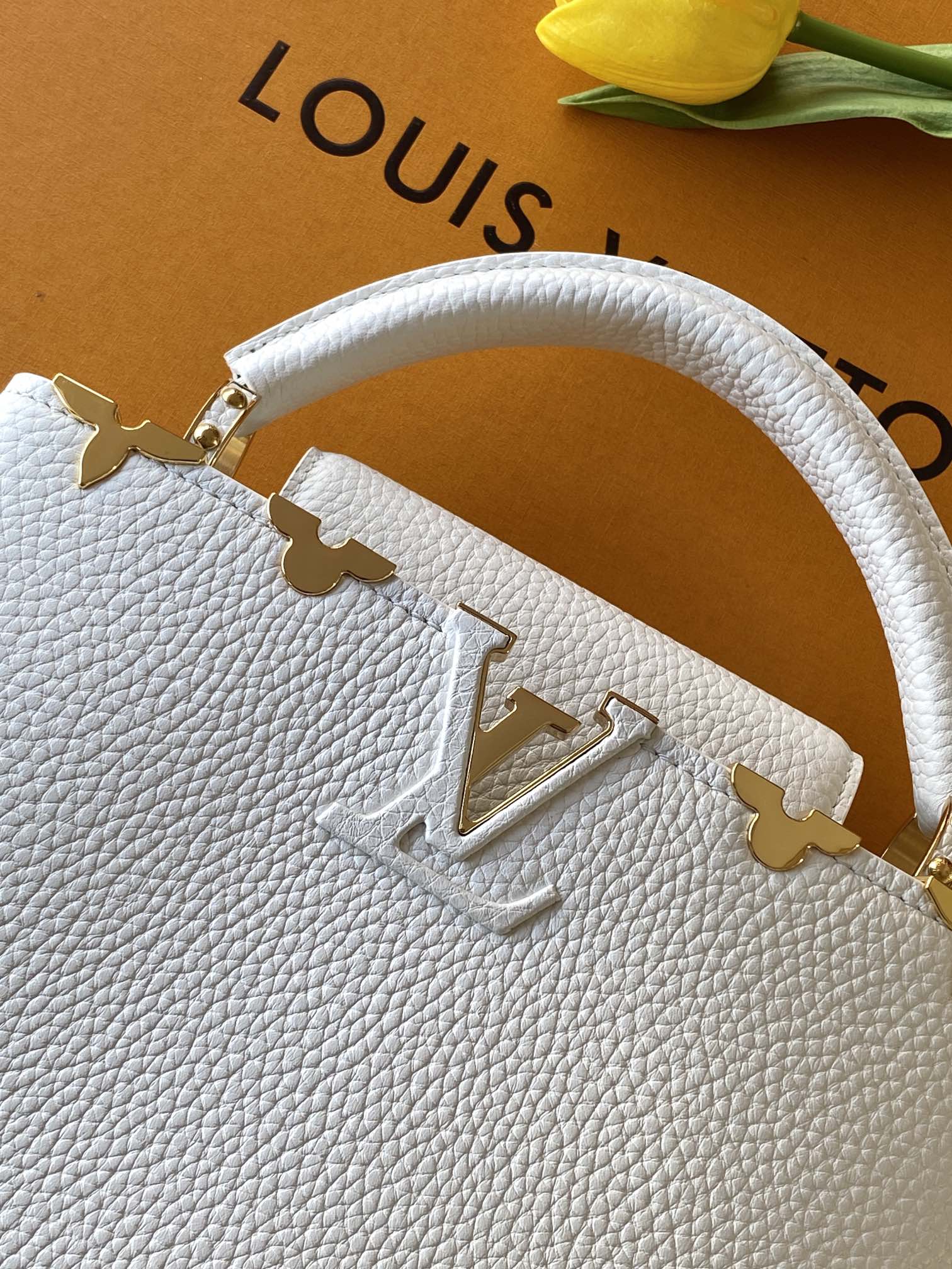 Capucines mini-M56660 - Image 7