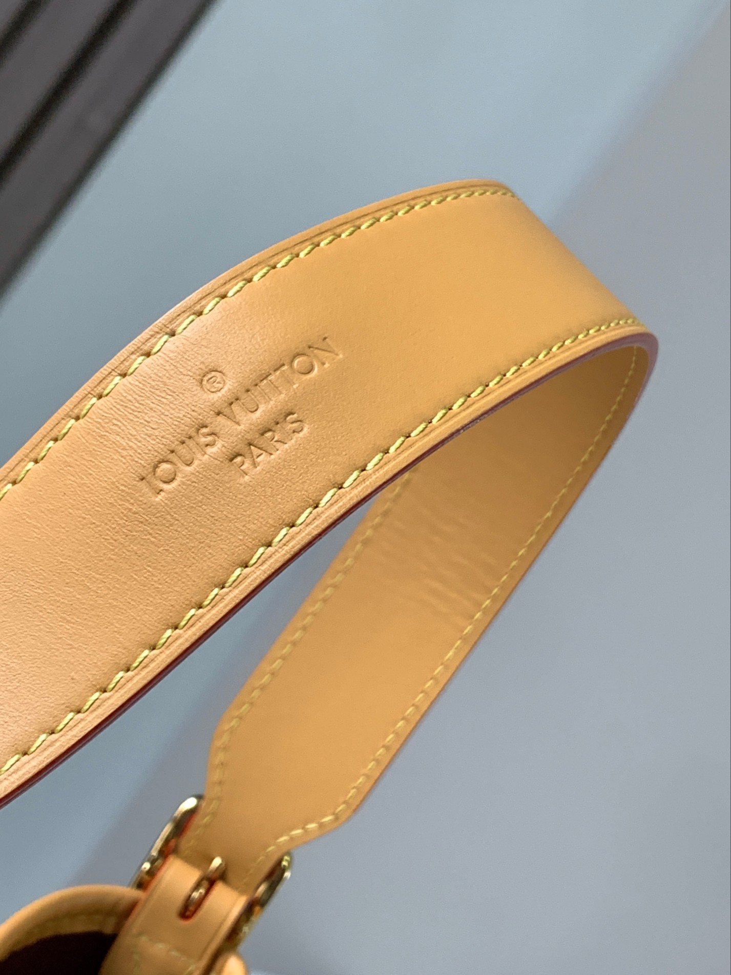 CARRYALL 小号手袋-M46203芯片版 - Image 8